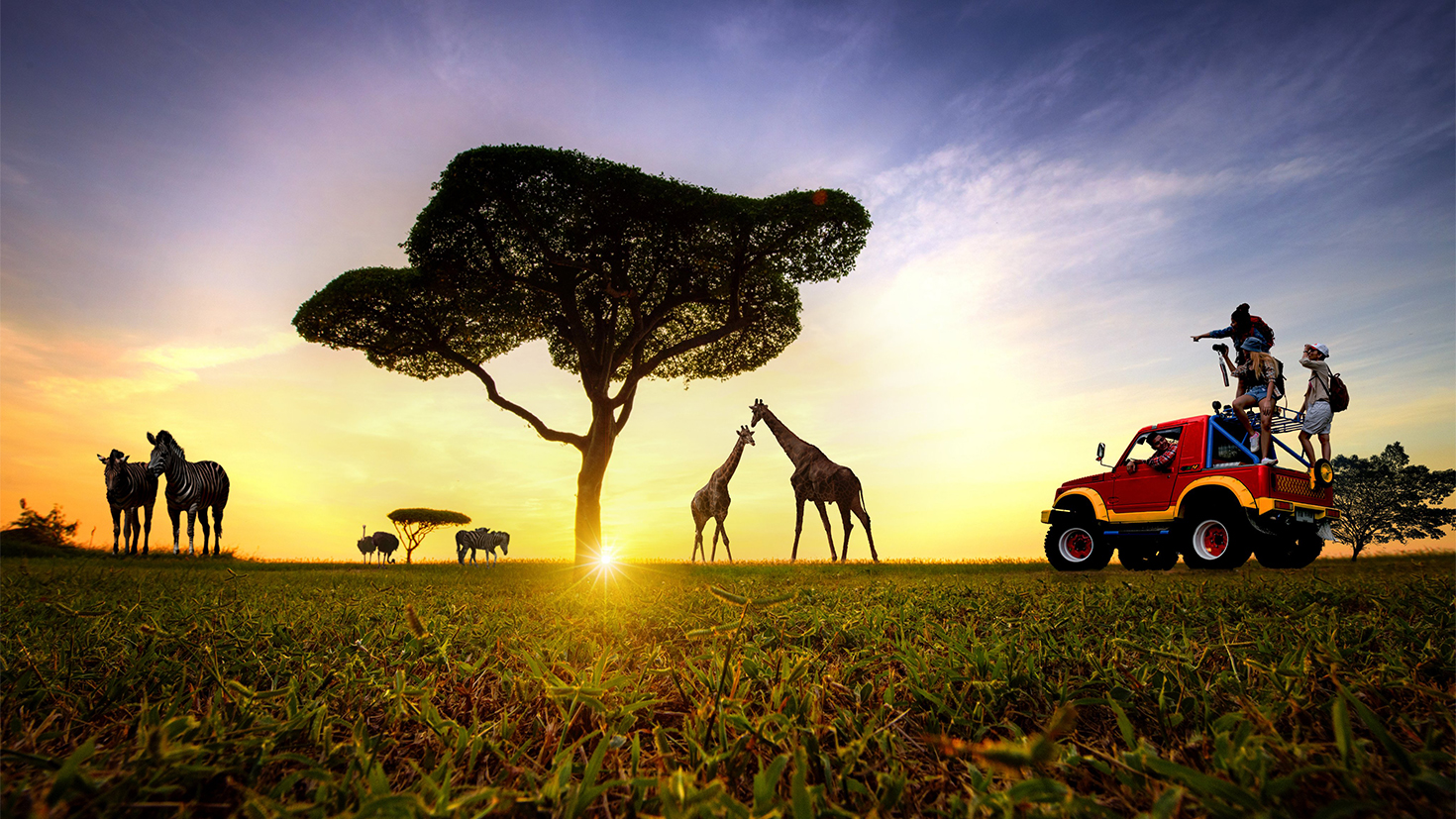 Kenya Safari