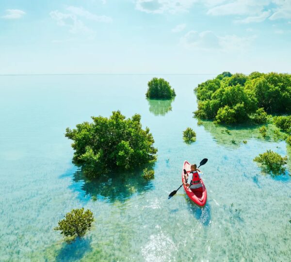 Kayaking Tour