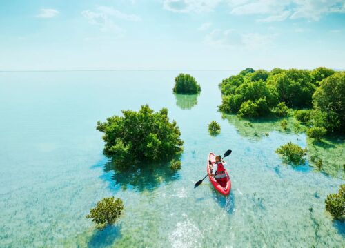 Kayaking Tour