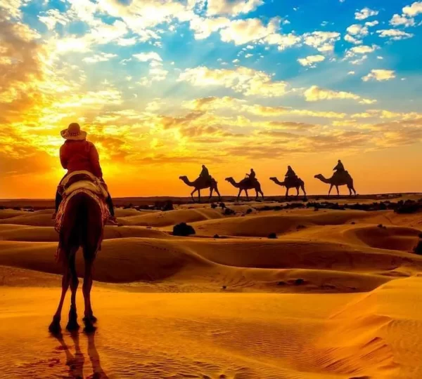 Desert Safari Full Day